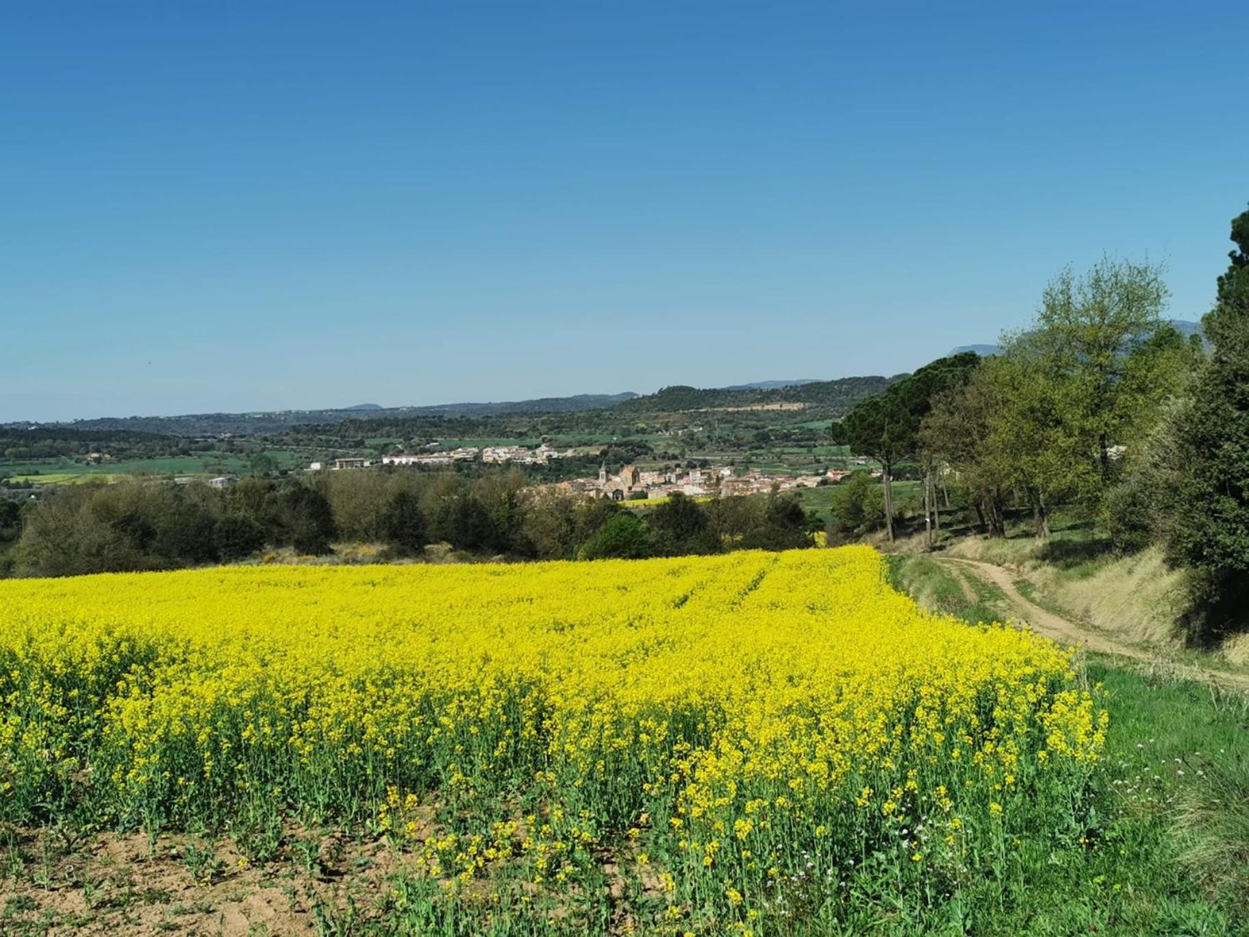 Ca L'Herminia 지로넬라 외부 사진