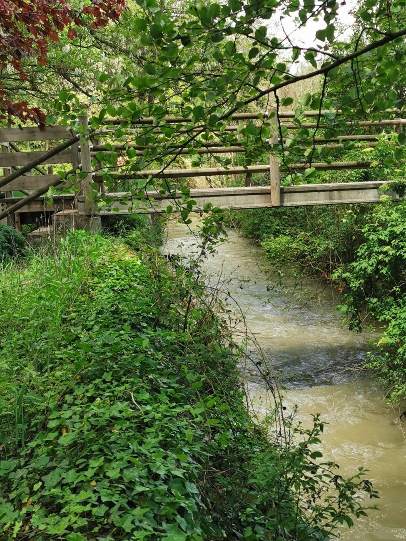 Ca L'Herminia 지로넬라 외부 사진